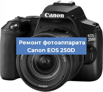 Замена затвора на фотоаппарате Canon EOS 250D в Нижнем Новгороде